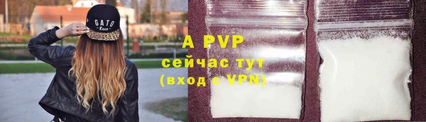 амф Надым