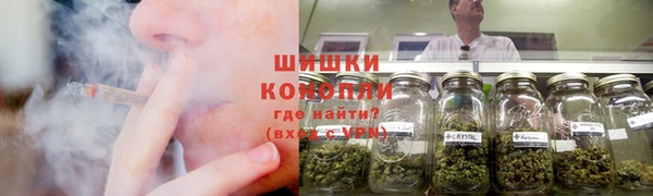 амф Надым