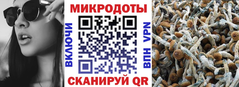 что такое   Рассказово  Галлюциногенные грибы Magic Shrooms 